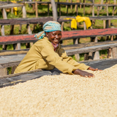 Rugori Washed (Women Grown) Gasharu (Price/lb) - 2024 crop